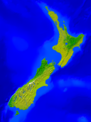 Neuseeland Vegetation 592x800